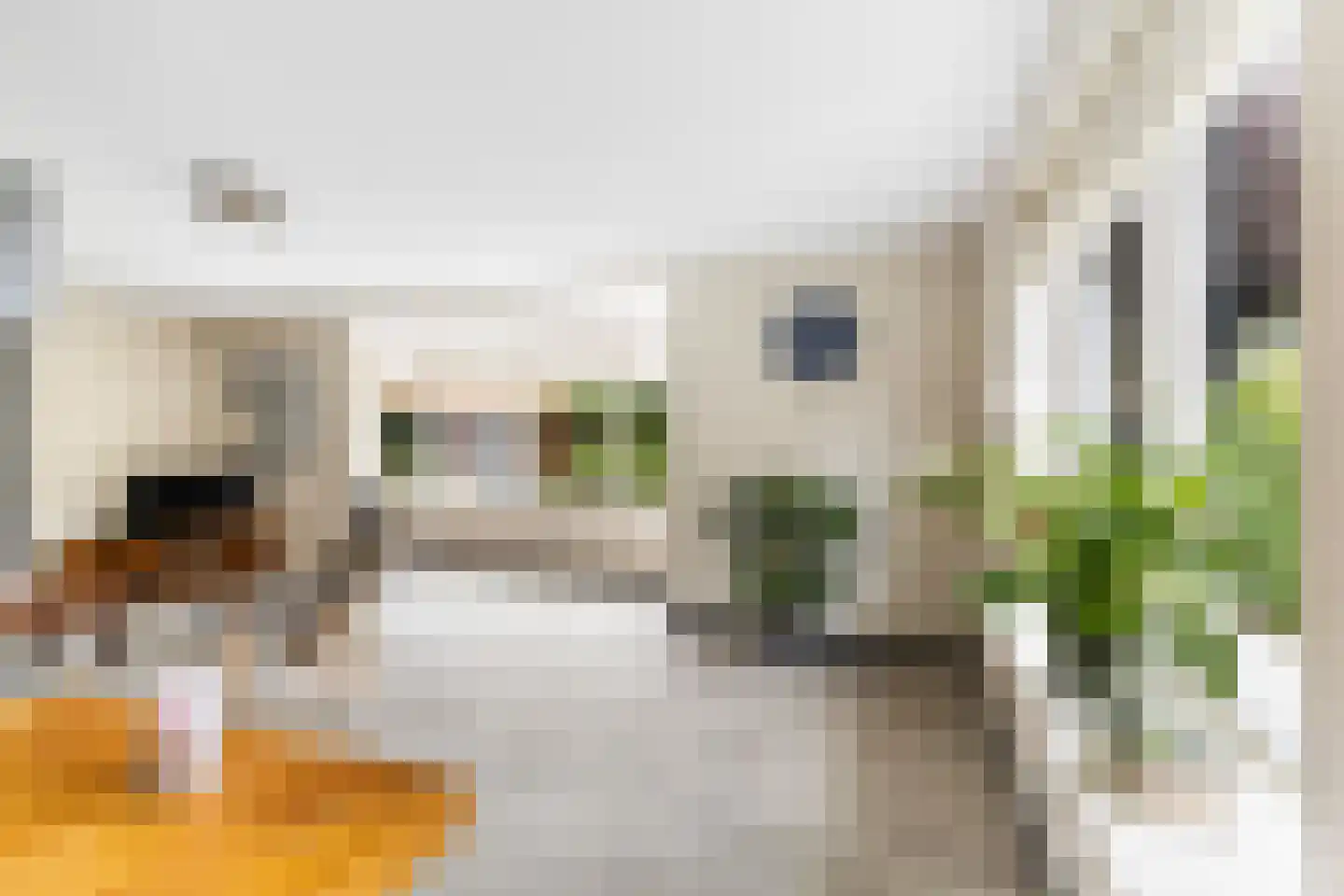 Broodbakkersgilde 4 Dronten thumbnail 11