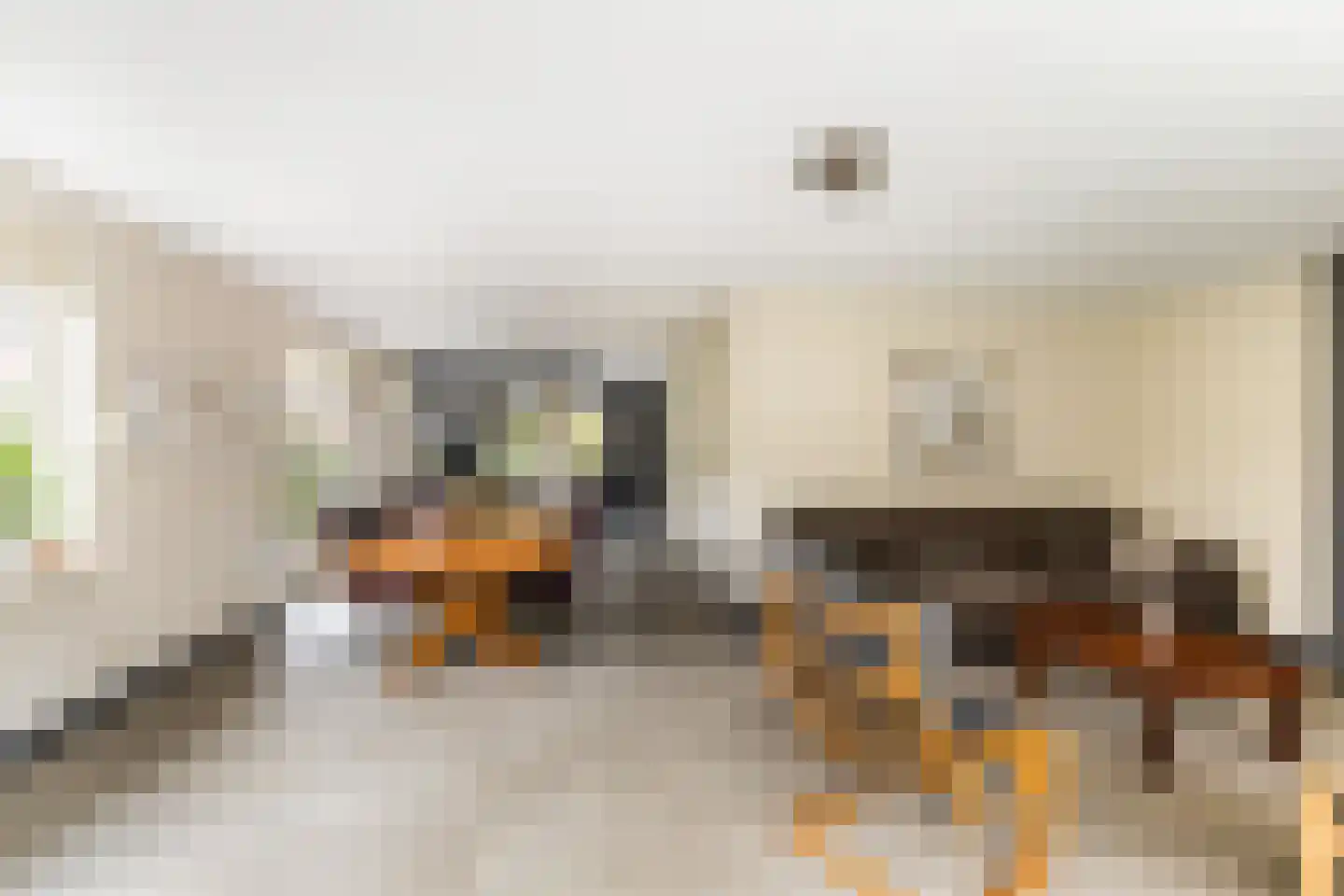 Broodbakkersgilde 4 Dronten thumbnail 14