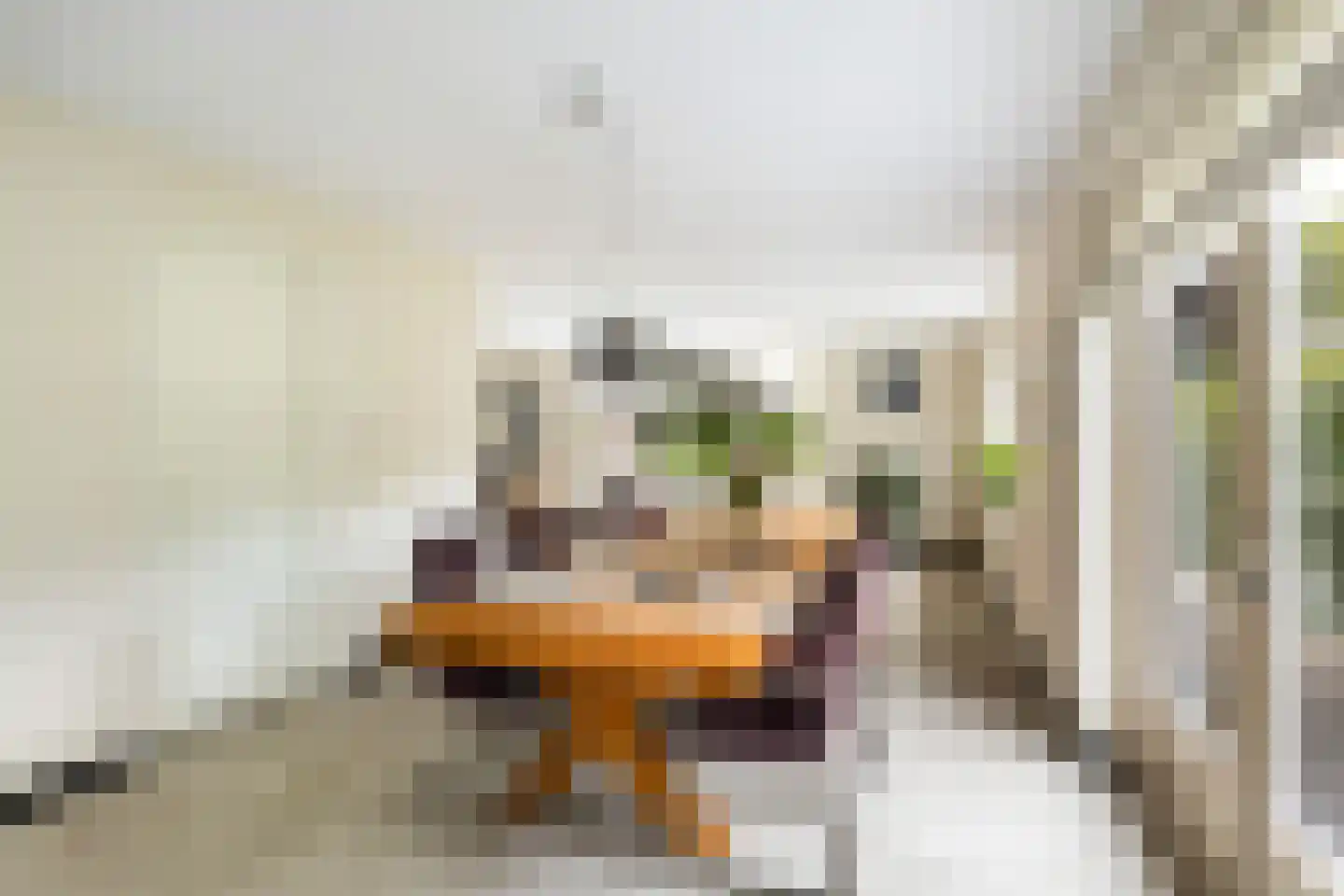 Broodbakkersgilde 4 Dronten thumbnail 16
