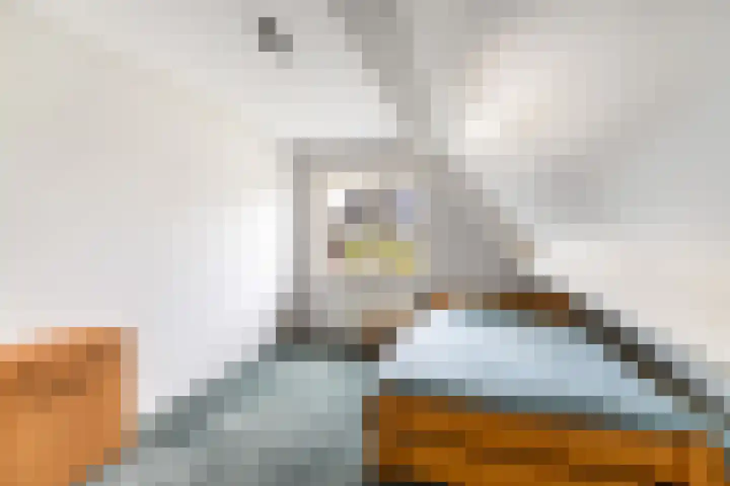 Broodbakkersgilde 4 Dronten thumbnail 39