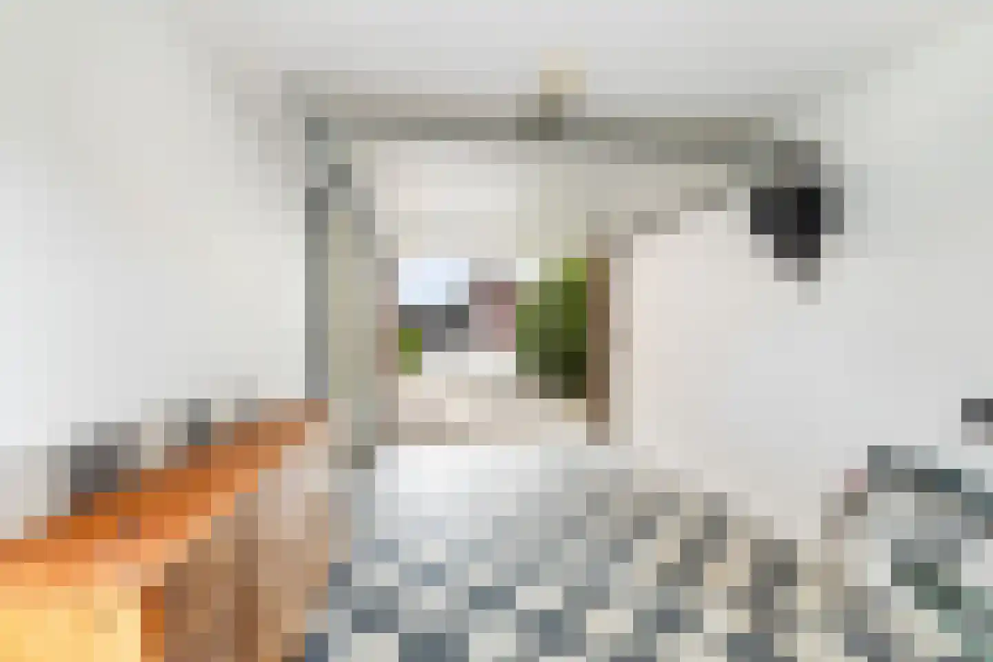 Broodbakkersgilde 4 Dronten thumbnail 53