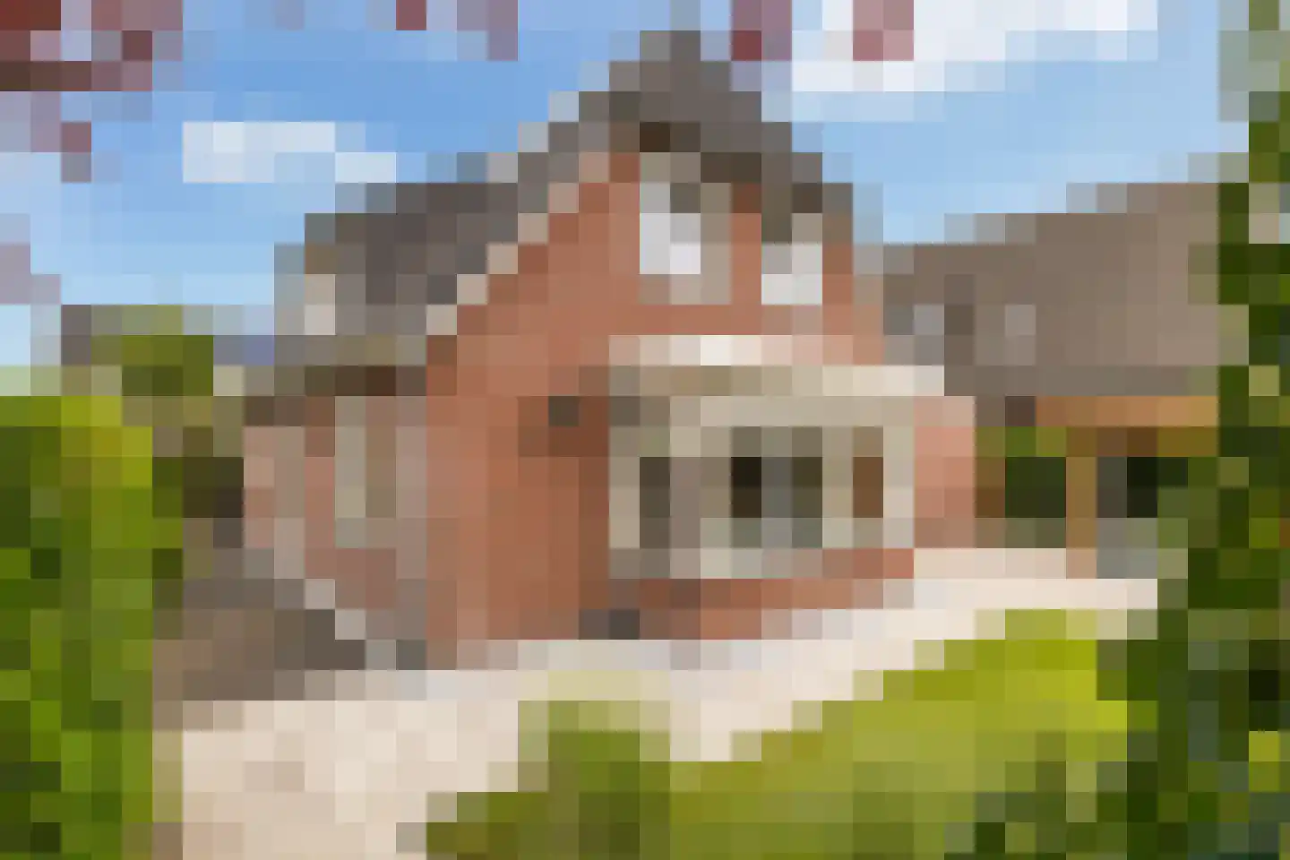 Broodbakkersgilde 4 Dronten thumbnail 61