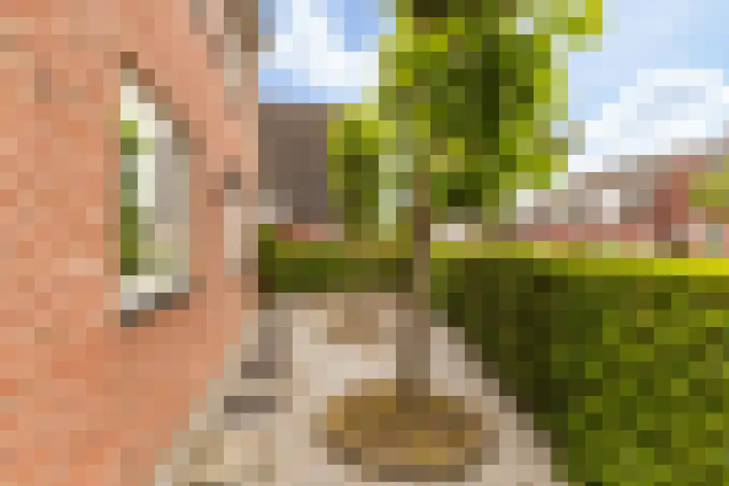 Broodbakkersgilde 4 Dronten thumbnail 64