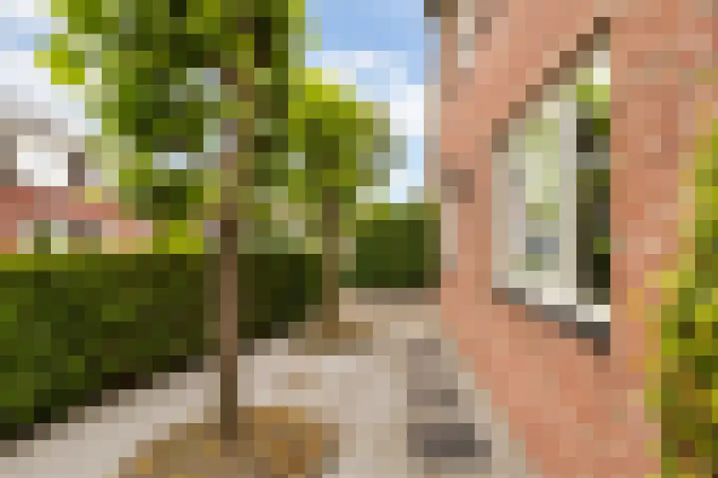 Broodbakkersgilde 4 Dronten thumbnail 65