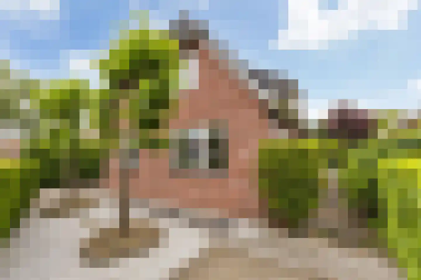 Broodbakkersgilde 4 Dronten thumbnail 66