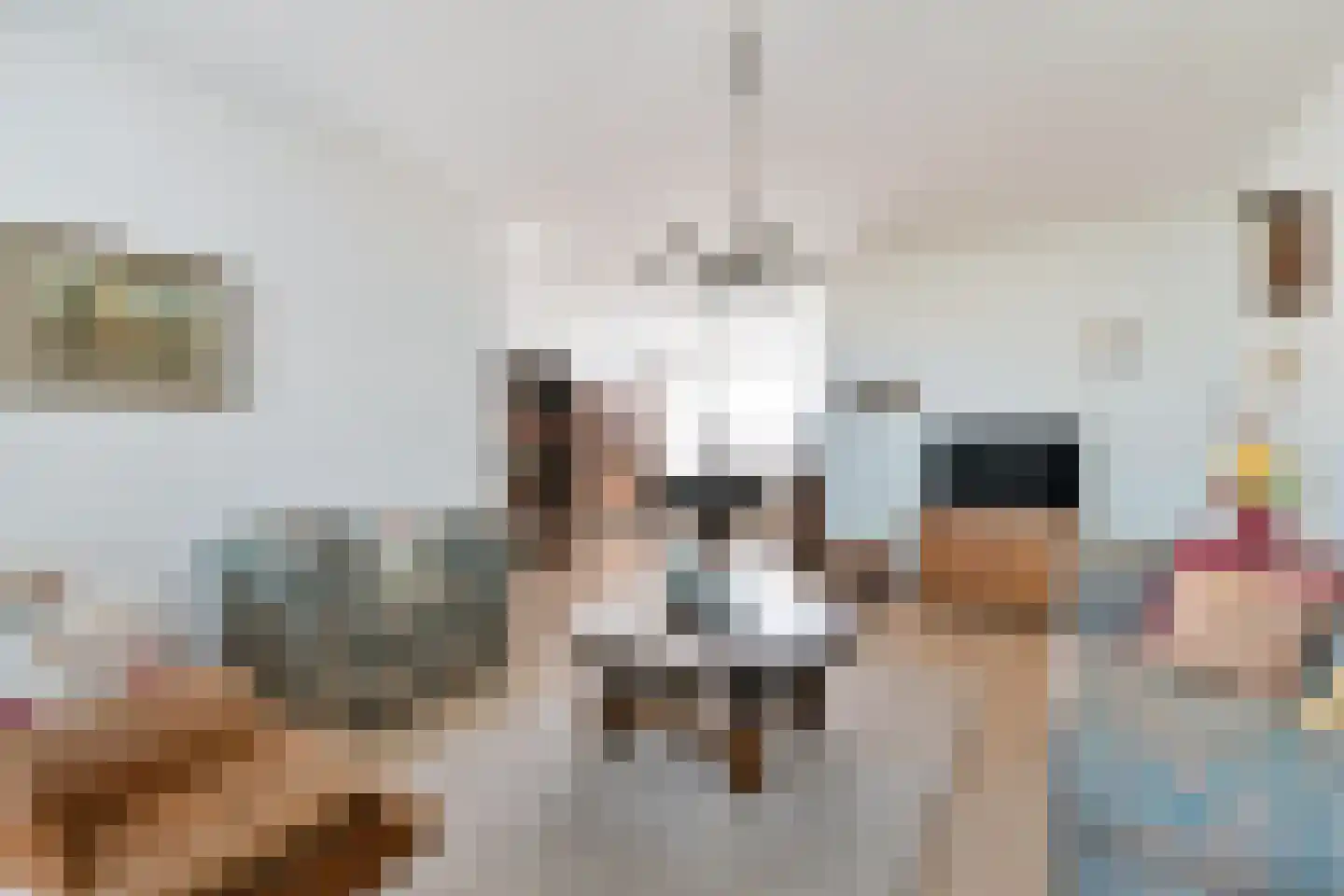 Broodberglaan 10 Eindhoven thumbnail 16