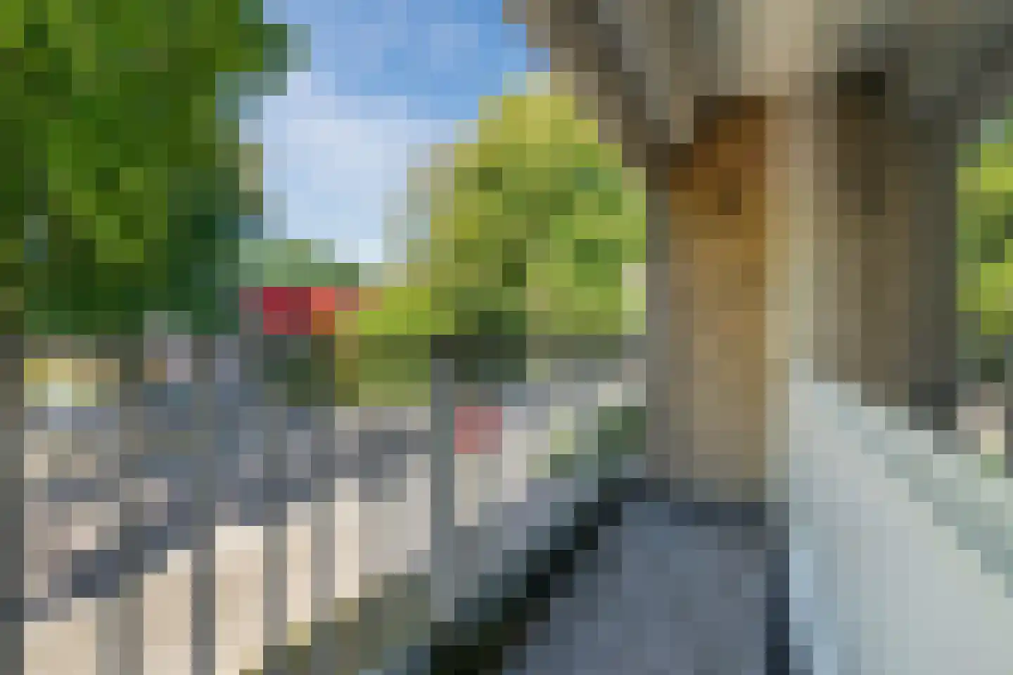 Broodberglaan 10 Eindhoven thumbnail 32