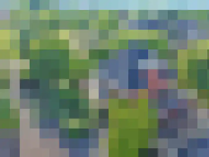 Broodheuvel 25 Hooglanderveen thumbnail 13