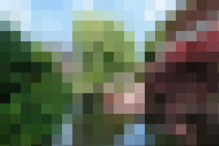 Broodheuvel 25 Hooglanderveen thumbnail 20