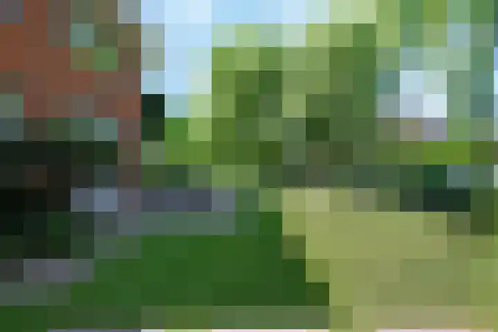 Broodheuvel 25 Hooglanderveen thumbnail 41