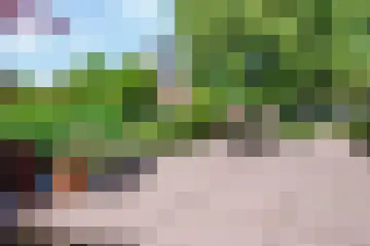 Broodheuvel 25 Hooglanderveen thumbnail 42