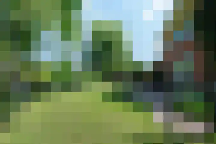 Broodheuvel 25 Hooglanderveen thumbnail 43