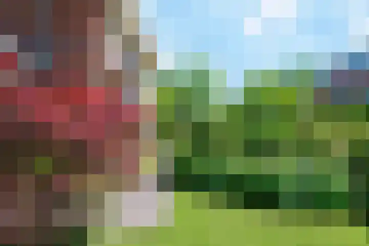 Broodheuvel 25 Hooglanderveen thumbnail 44