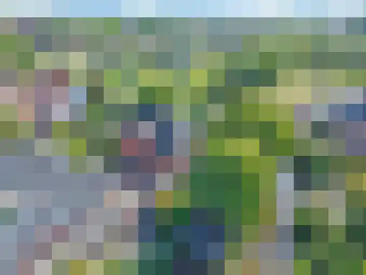 Broodheuvel 25 Hooglanderveen thumbnail 47