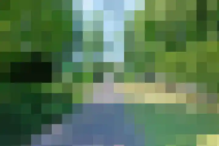 Broodheuvel 25 Hooglanderveen thumbnail 48