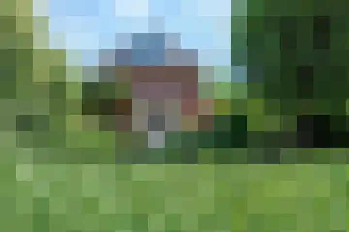 Broodheuvel 25 Hooglanderveen thumbnail 55