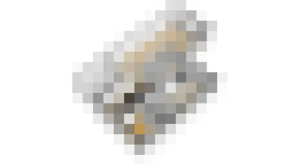 Brookerveld 17 Venlo thumbnail 57