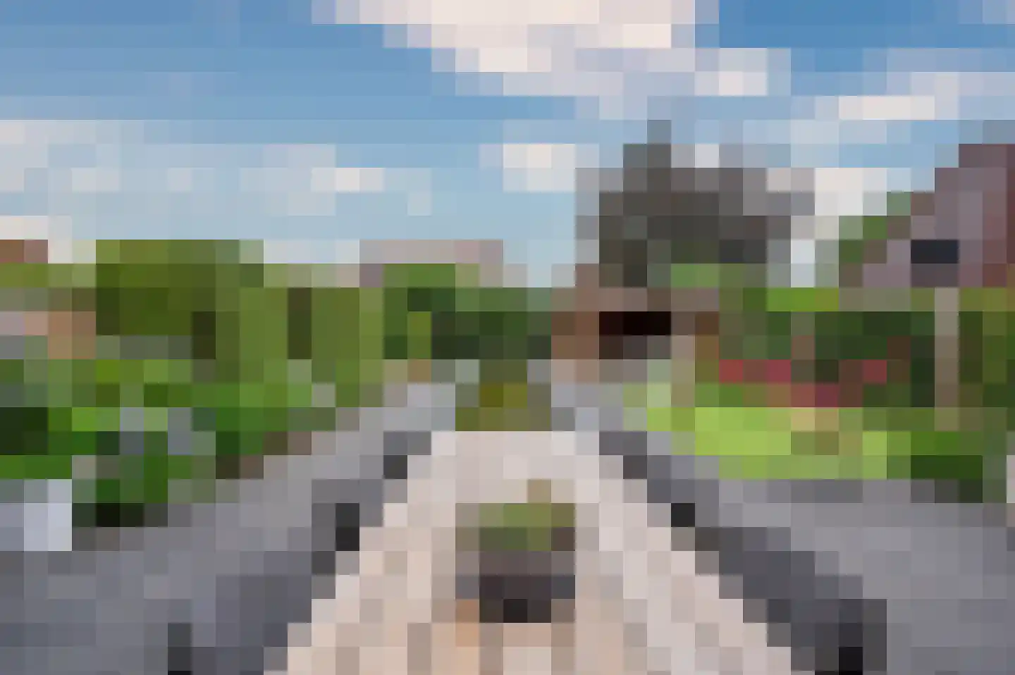 Brookerveld 25 Venlo thumbnail 44