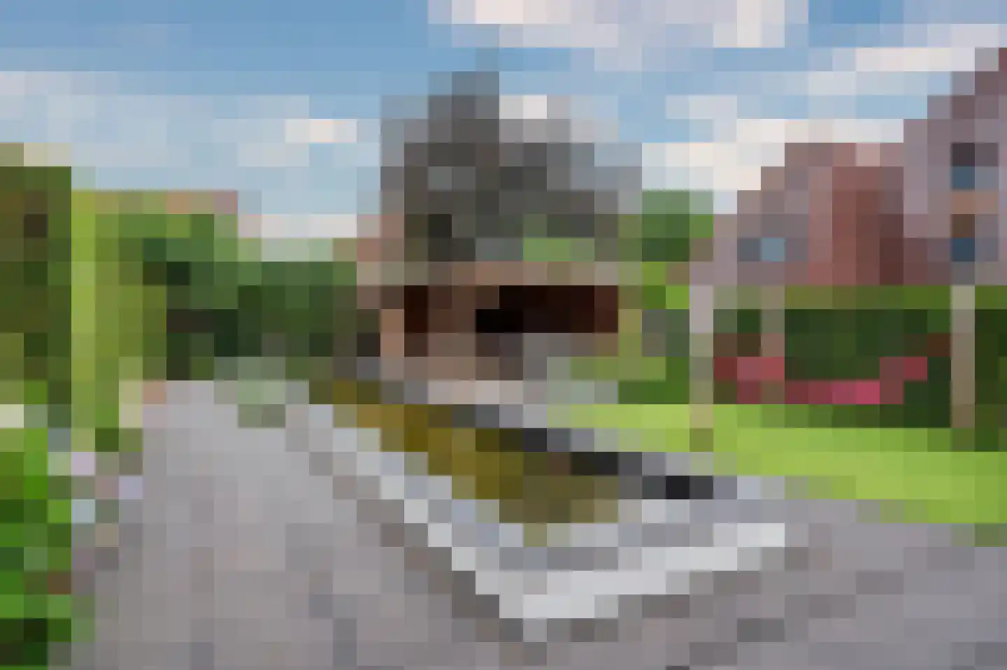Brookerveld 25 Venlo thumbnail 45