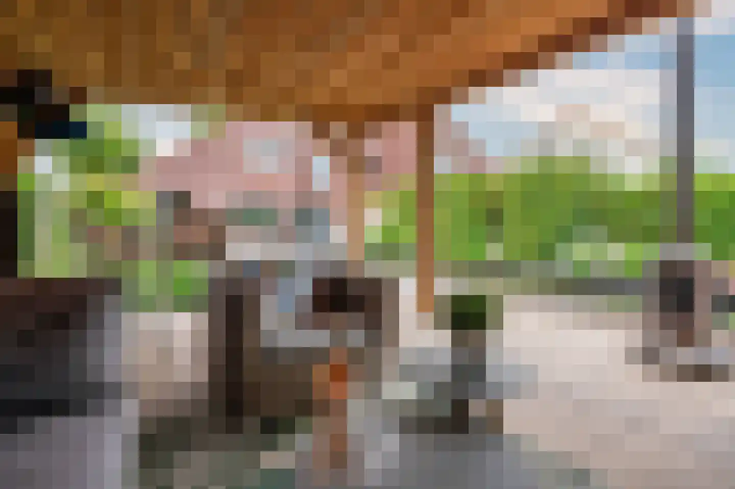Brookerveld 25 Venlo thumbnail 50