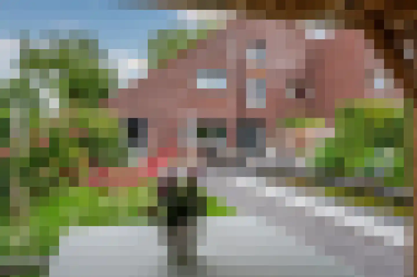 Brookerveld 25 Venlo thumbnail 52