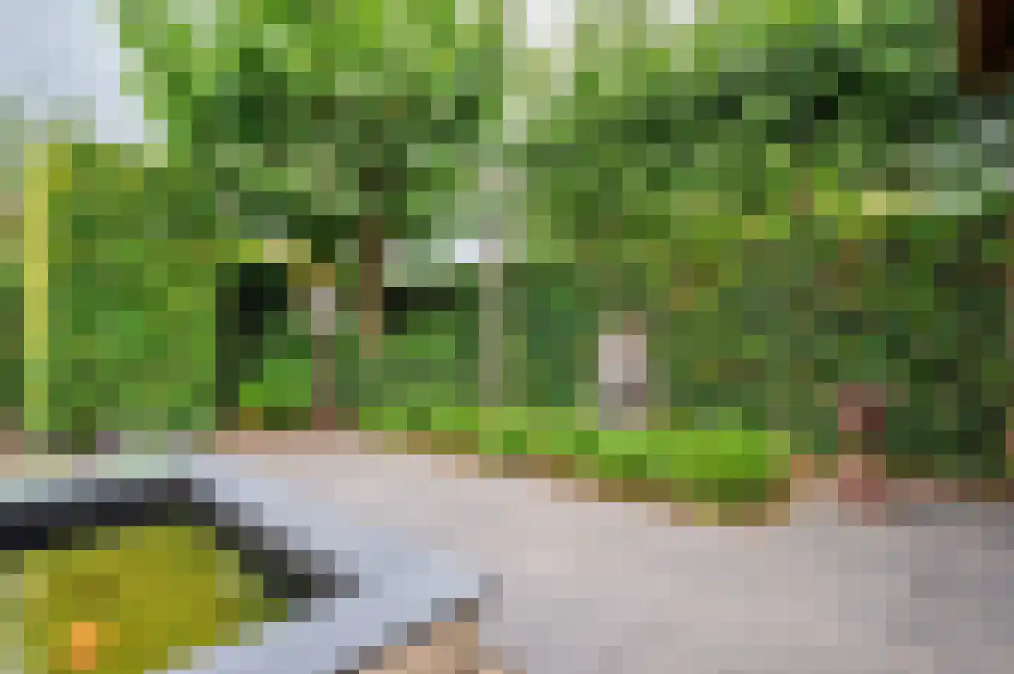 Brookerveld 25 Venlo thumbnail 54