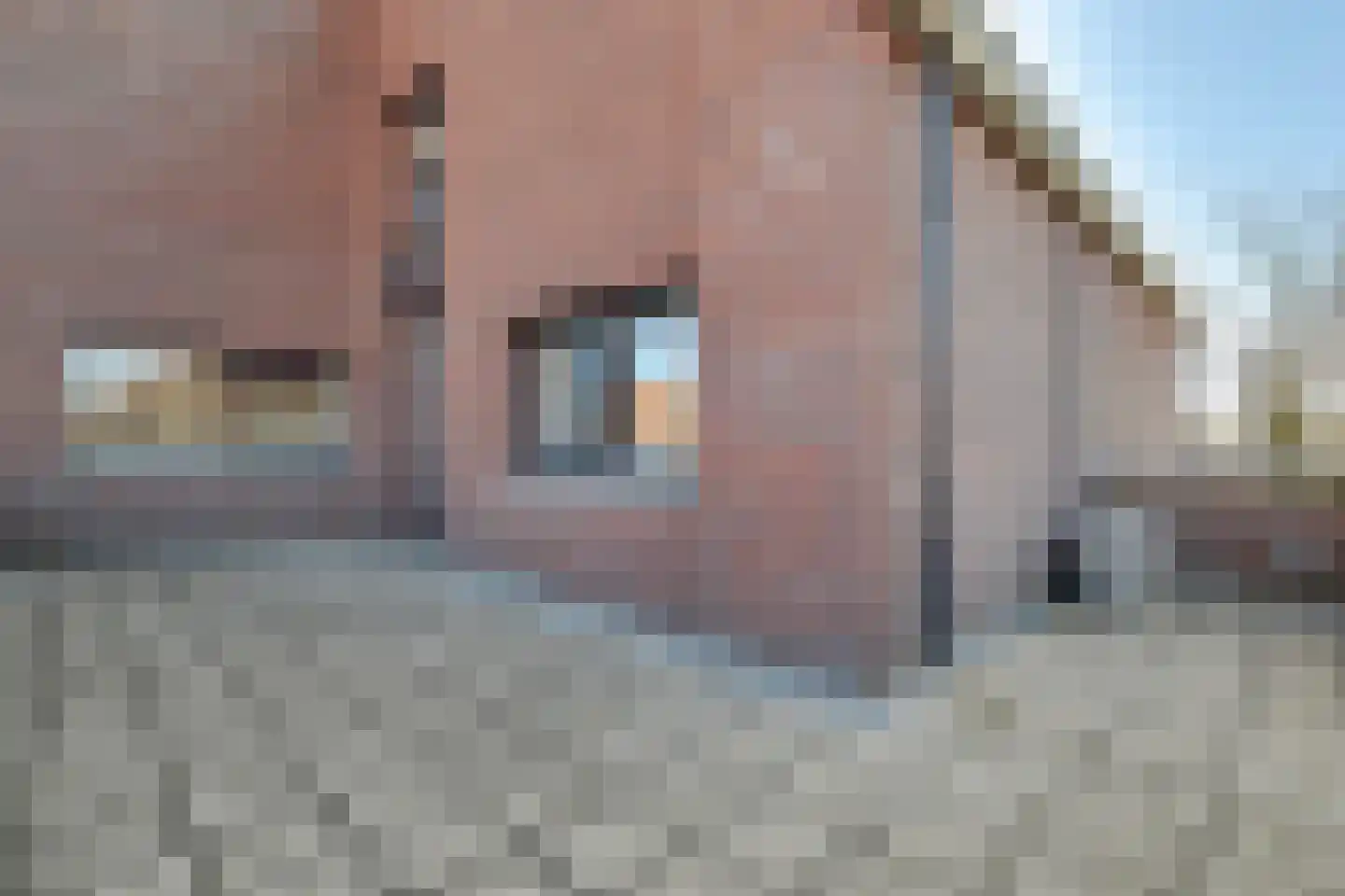 Brookerveld 7 Venlo thumbnail 29