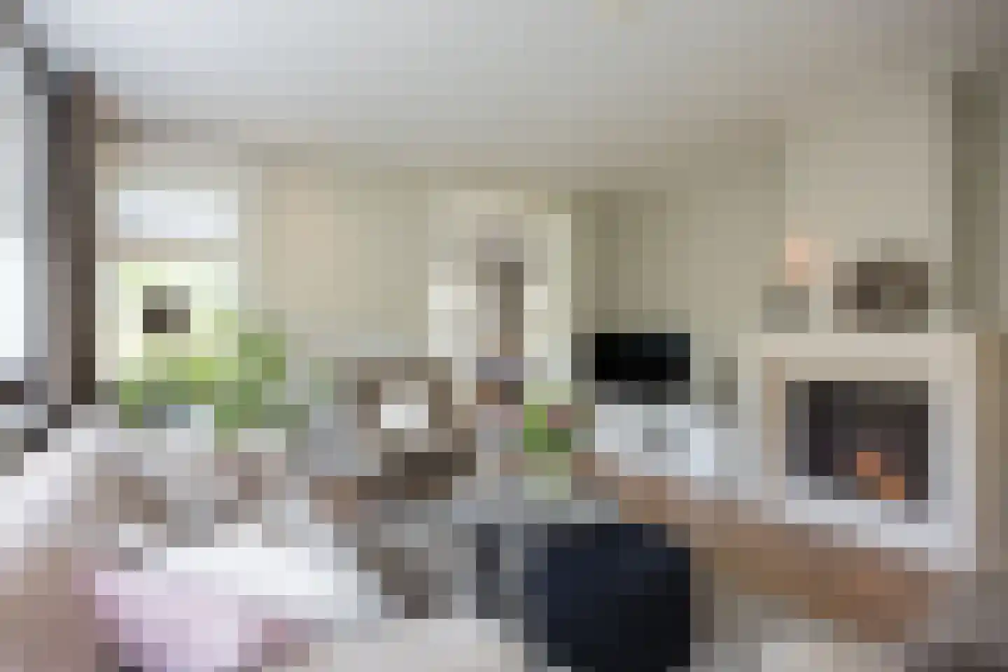 Brookhuis 20 Ootmarsum thumbnail 15
