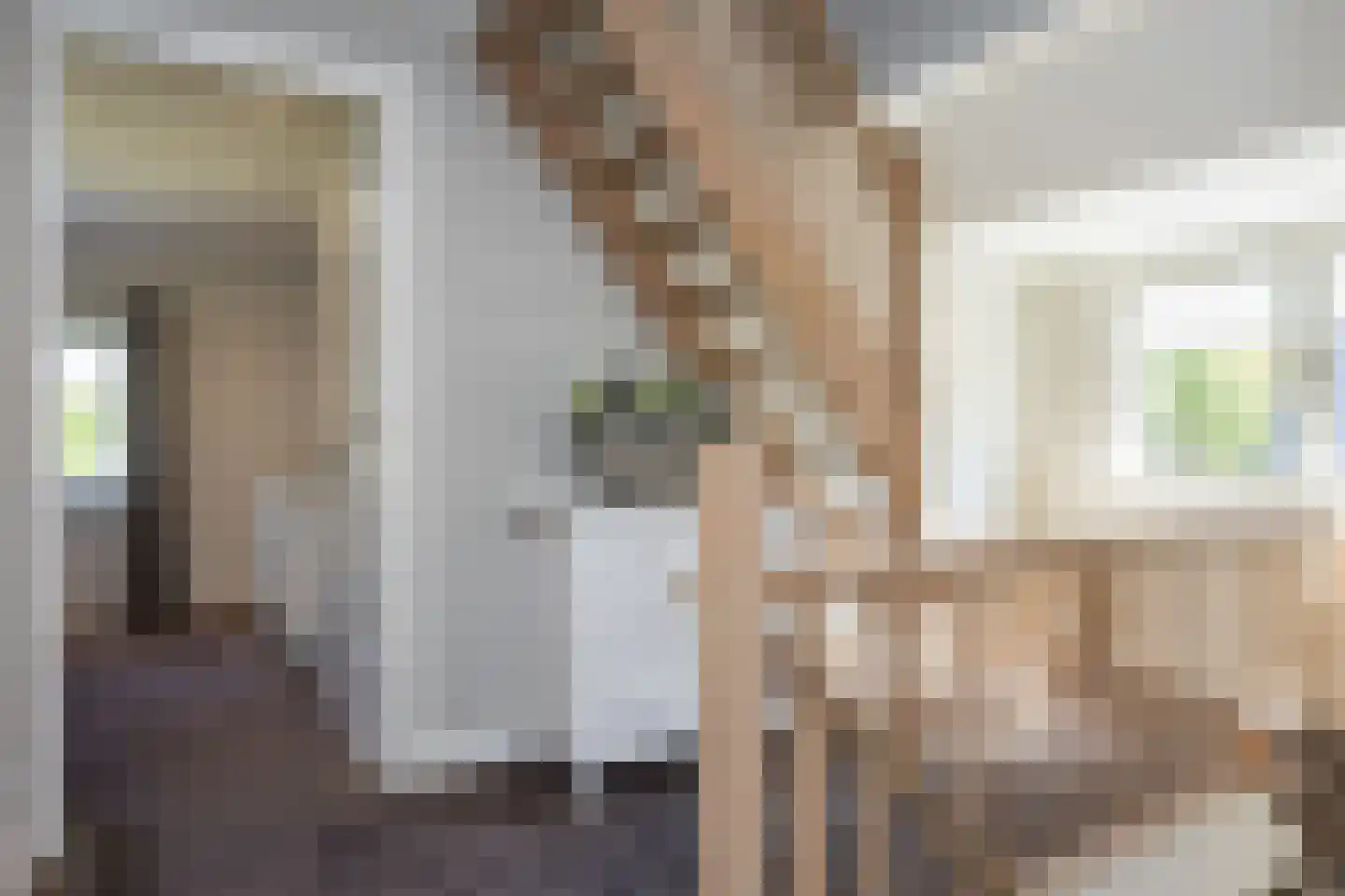 Brookhuis 20 Ootmarsum thumbnail 23