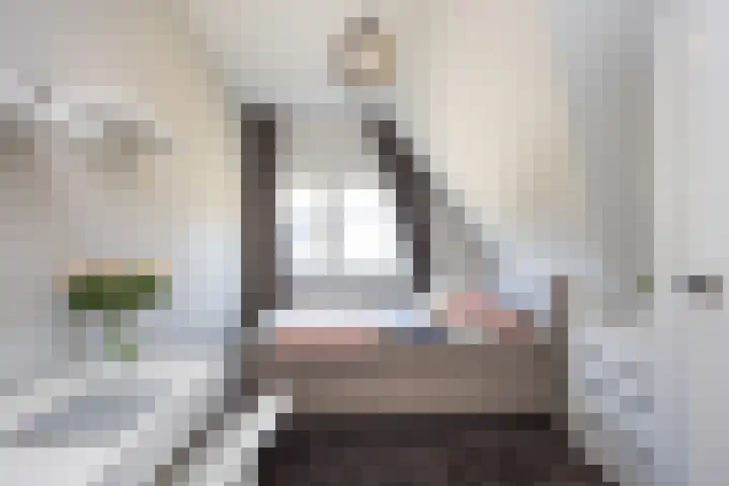 Brookhuis 20 Ootmarsum thumbnail 29