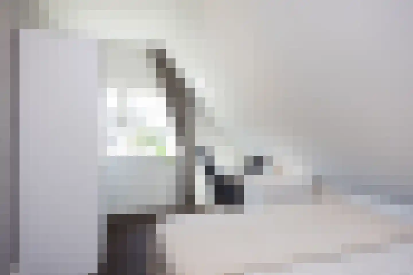 Brookhuis 20 Ootmarsum thumbnail 30