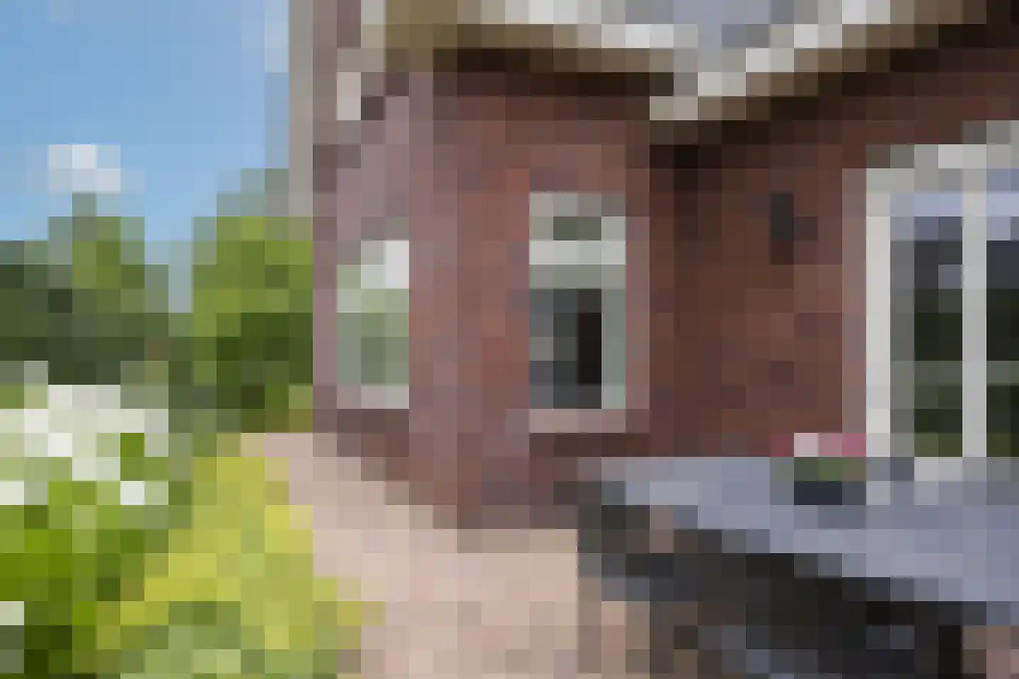 Brookhuis 20 Ootmarsum thumbnail 36