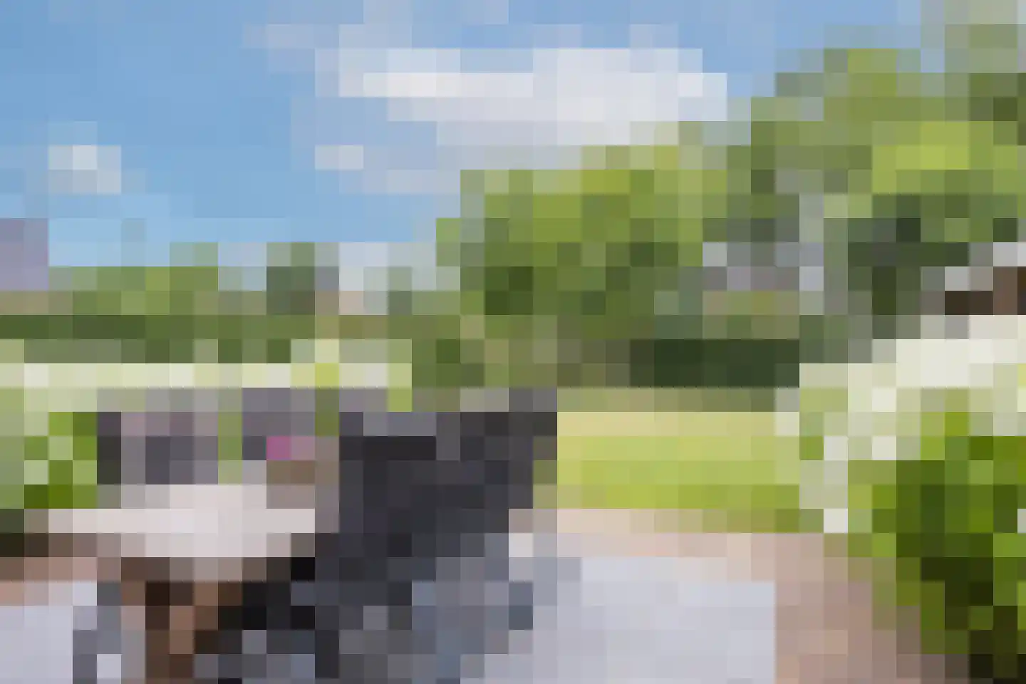 Brookhuis 20 Ootmarsum thumbnail 37
