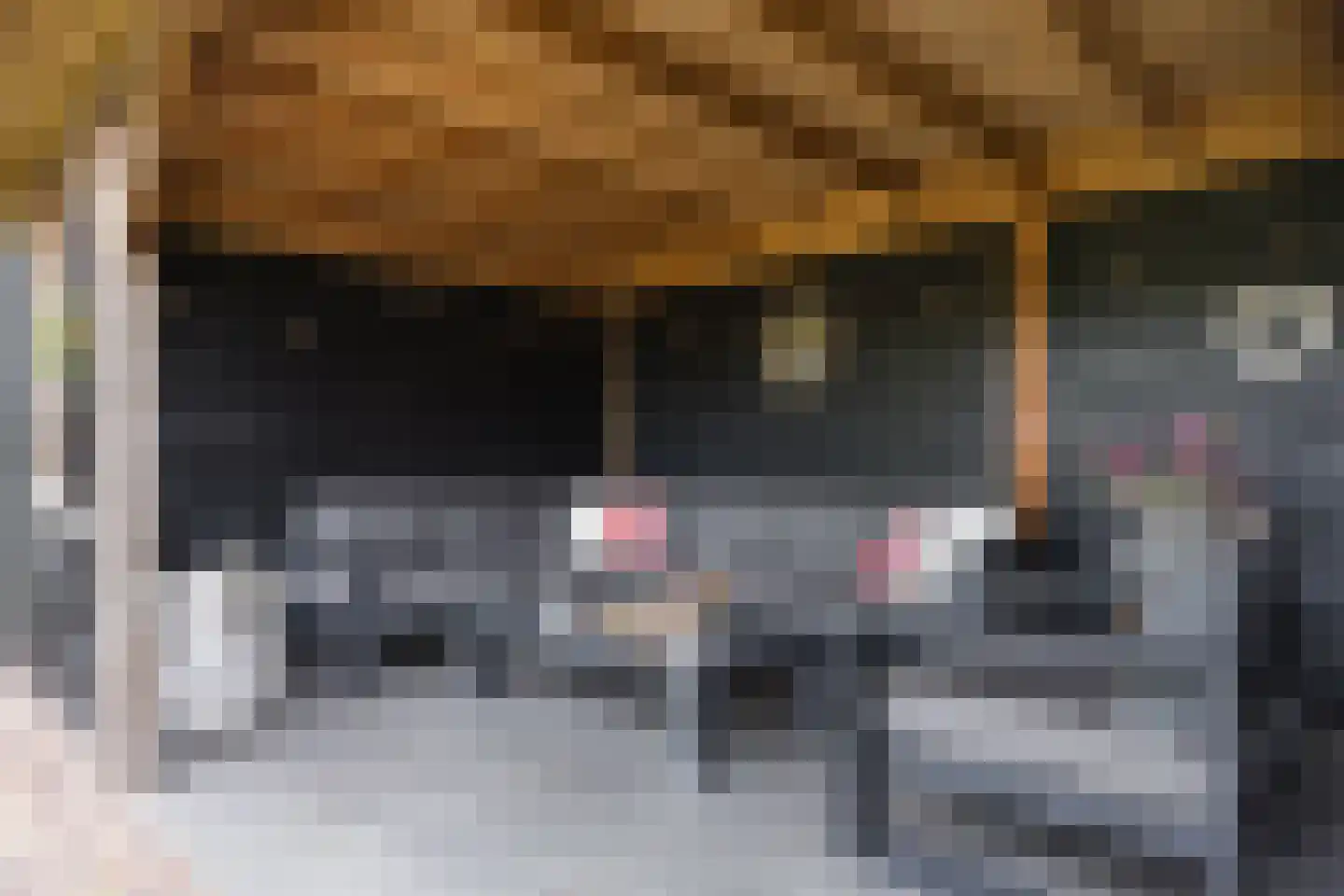 Brookhuis 20 Ootmarsum thumbnail 41