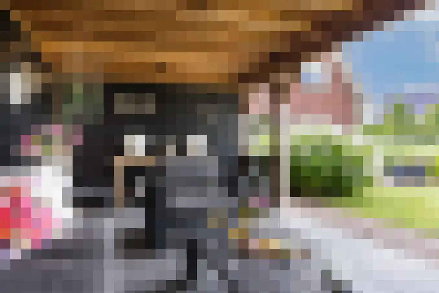 Brookhuis 20 Ootmarsum thumbnail 43