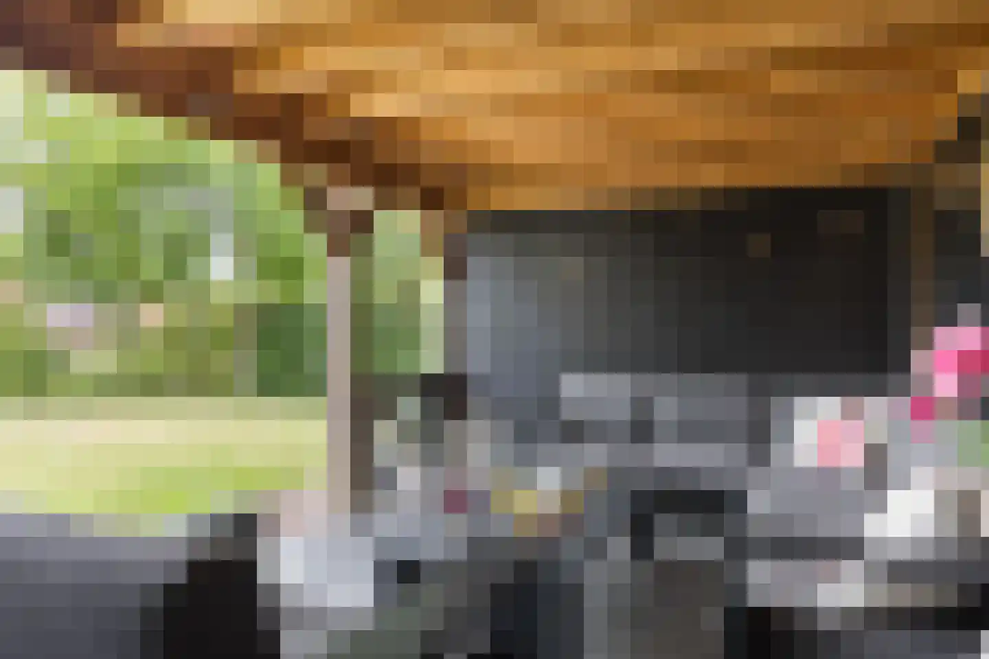 Brookhuis 20 Ootmarsum thumbnail 44