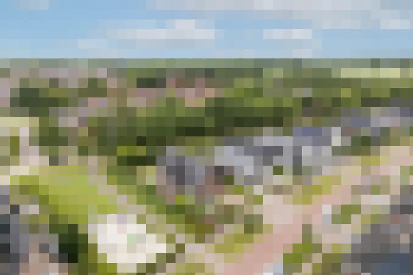 Brookhuis 20 Ootmarsum thumbnail 48