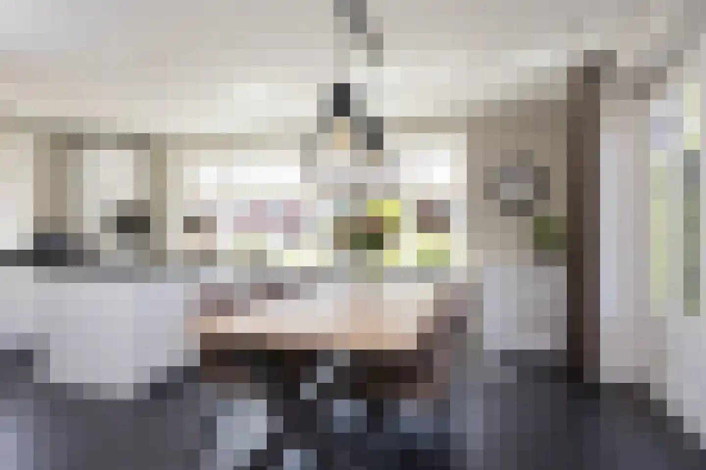 Brookhuis 20 Ootmarsum thumbnail 8