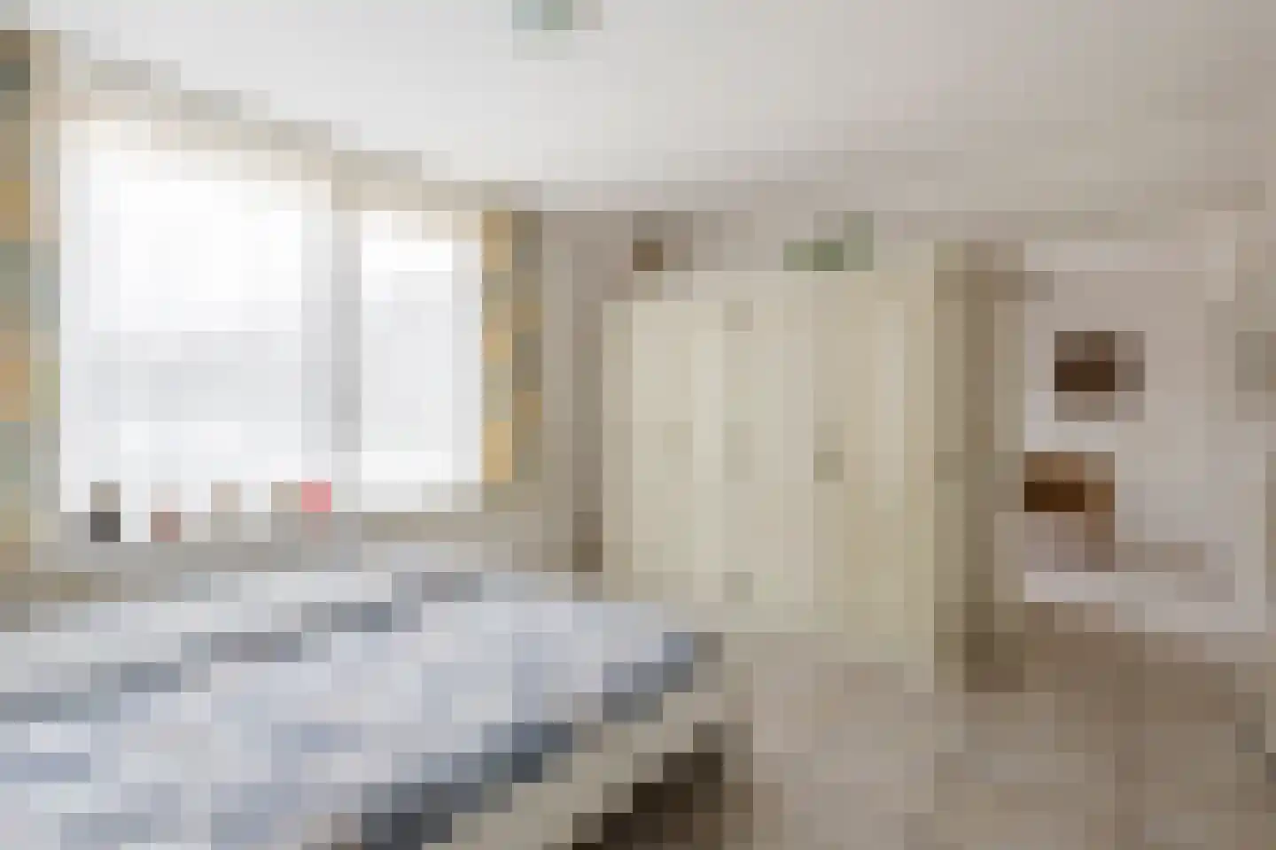 Brooshooftstraat 34 A Hardinxveld-Giessendam thumbnail 11