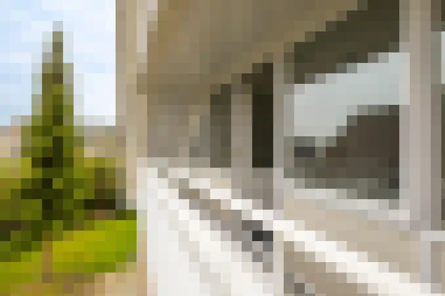 Brooshooftstraat 34 A Hardinxveld-Giessendam thumbnail 21