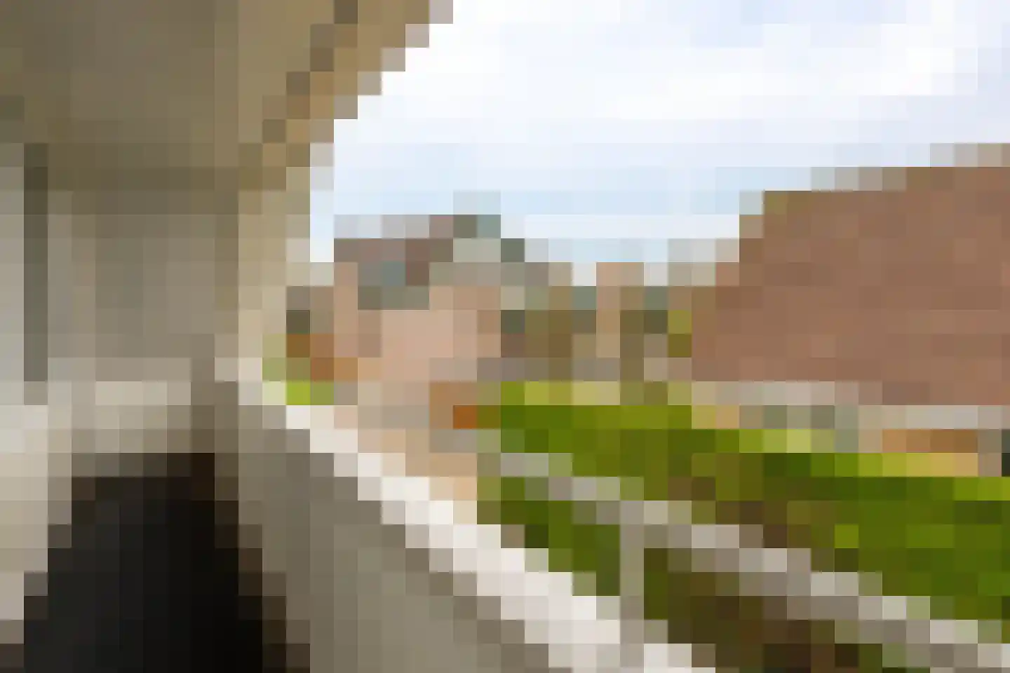 Brooshooftstraat 34 A Hardinxveld-Giessendam thumbnail 22