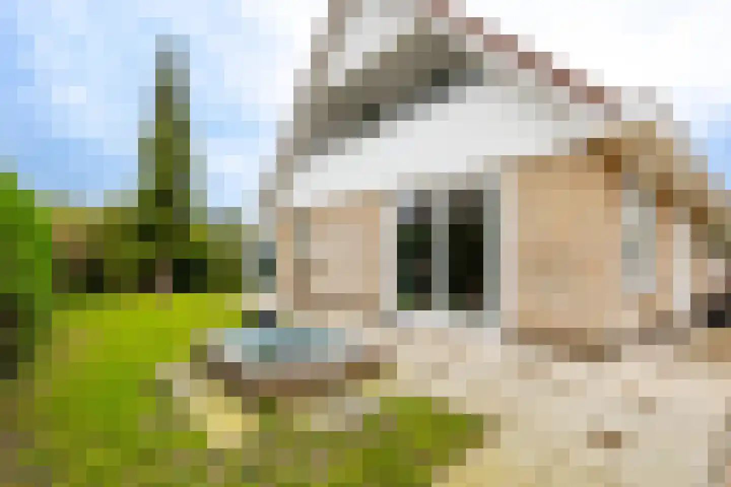 Brooshooftstraat 34 A Hardinxveld-Giessendam thumbnail 31