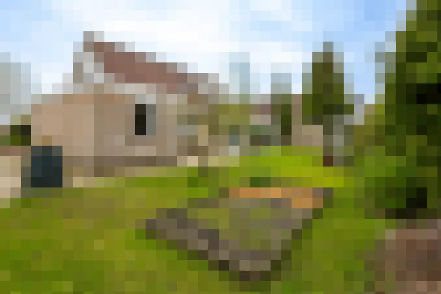 Brooshooftstraat 34 A Hardinxveld-Giessendam thumbnail 36