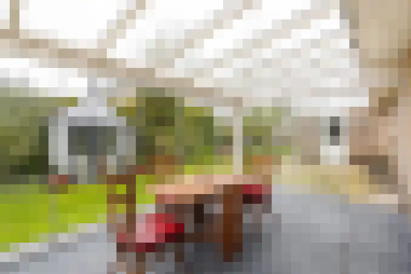 Brooshooftstraat 34 A Hardinxveld-Giessendam thumbnail 7