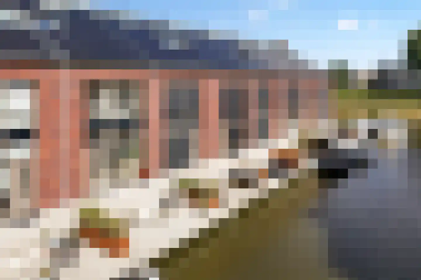 Broukade 36 Leeuwarden thumbnail 50