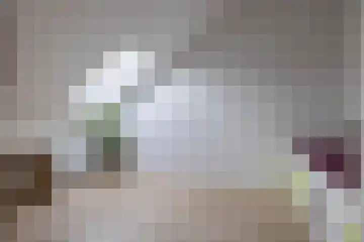 Broukade 4 Leeuwarden thumbnail 38