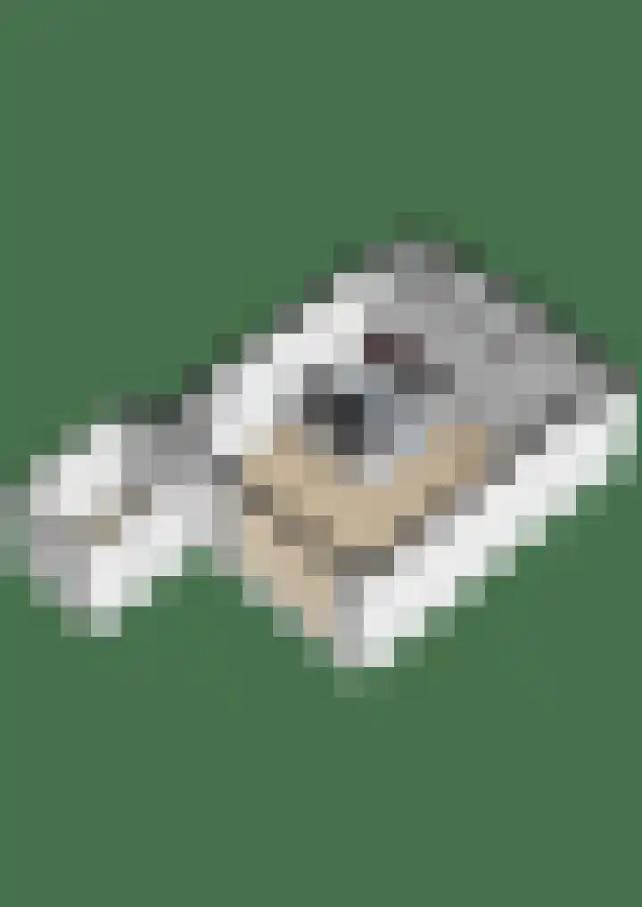 Broukade 4 Leeuwarden thumbnail 47