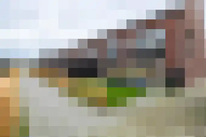 Broukade 4 Leeuwarden thumbnail 6