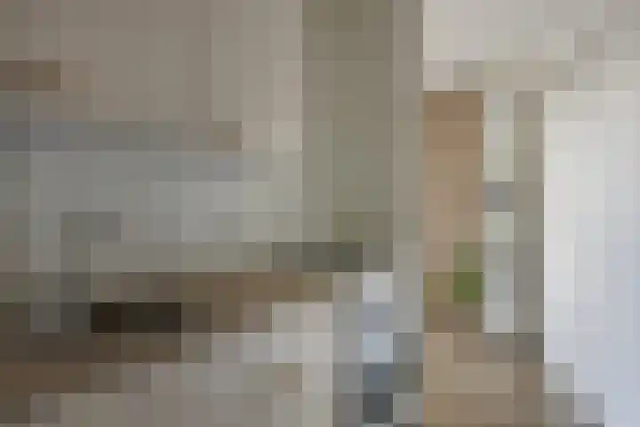Brouwerij 12 Alkmaar thumbnail 10