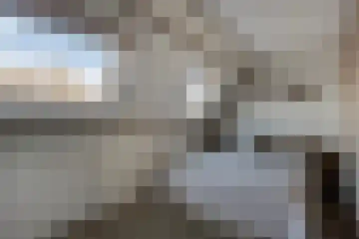 Brouwerij 12 Alkmaar thumbnail 11